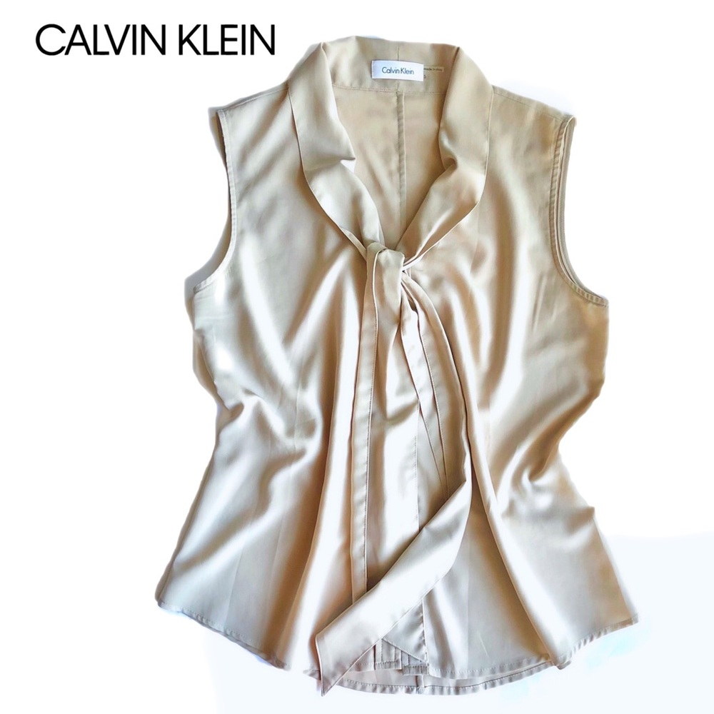 Gorgeous Calvin career blouse, Small